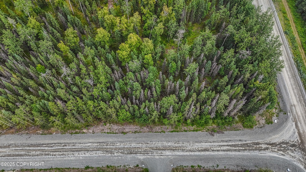 34224 Browns Lake Rd, Funny River, AK 99669 - photo 1