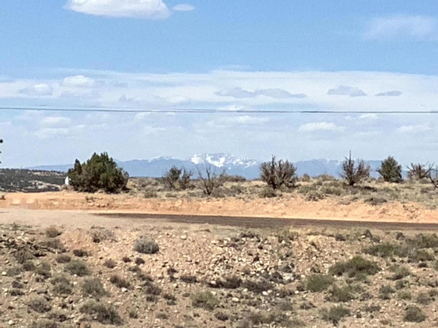 NYA  201 Road 3784, Farmington, NM 87401 - photo 1
