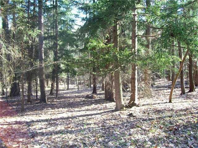 Land This is a good flat area that would be a grea