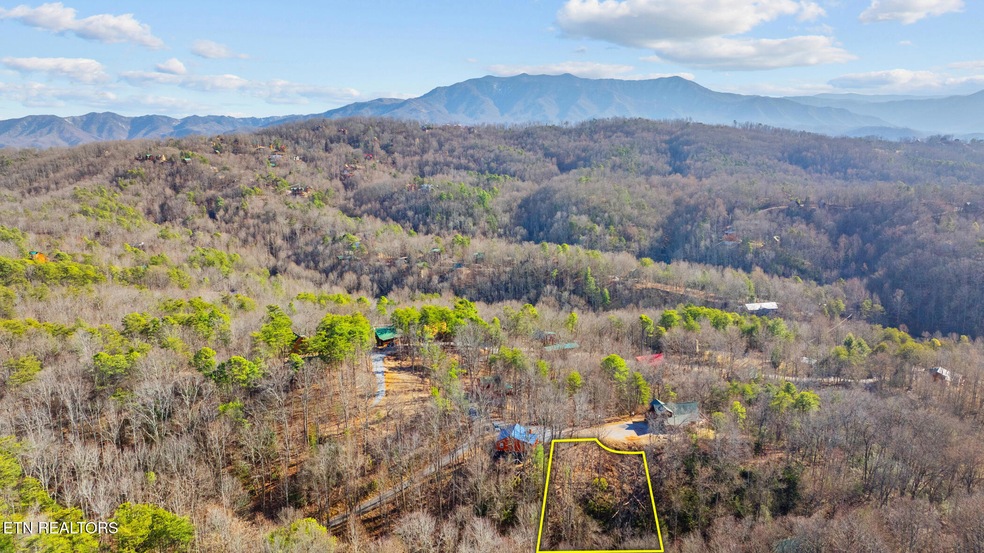 dji_20250129133151_0035_d_line