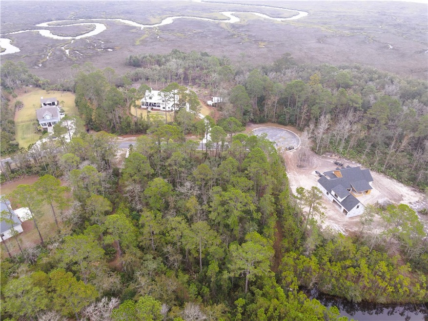 182 Bluebill Trail, Brunswick, GA 31523 - photo 1