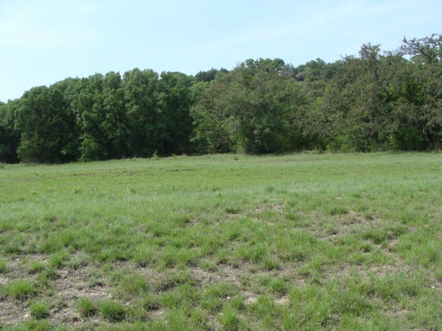 31 Soaring Eagles Dr unit 31, Fredericksburg, TX 78624 - photo 1