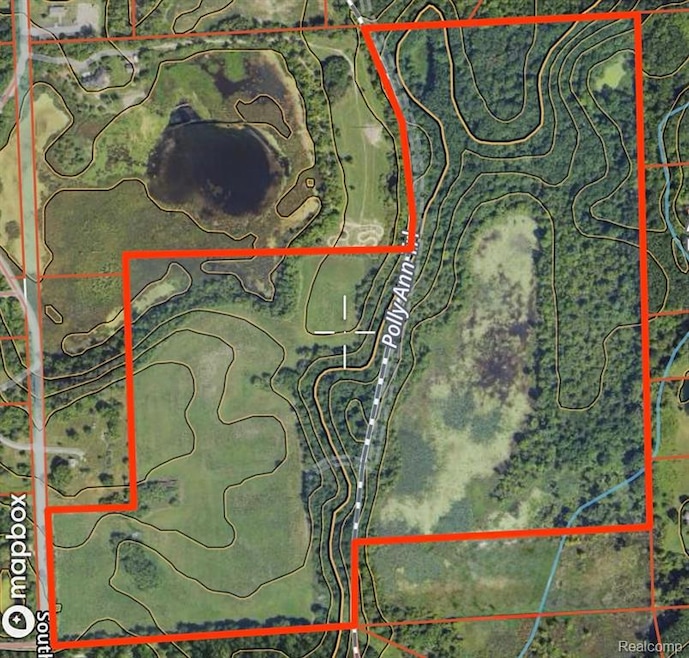 VL S Mill Rd, Dryden Township, MI 48428 - photo 1