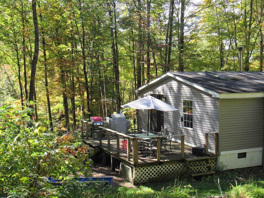 1048 Back Rd, Belvidere Center, VT 05442 - photo 1