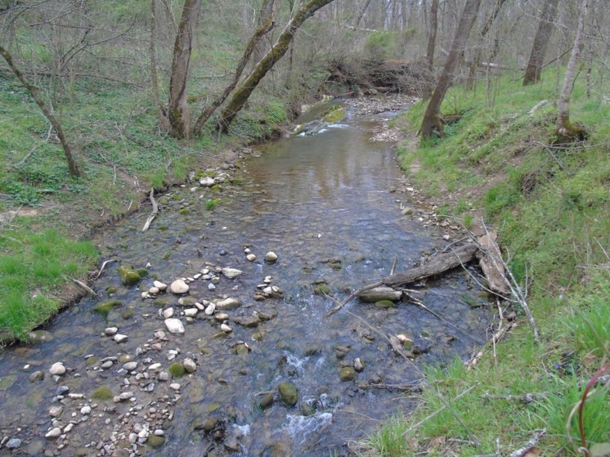 Creek