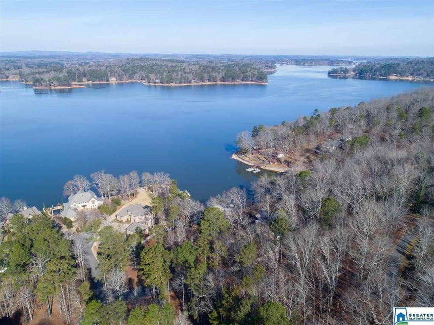 14 Waters Edge Dr unit 14, Alpine, AL 35014 - photo 1