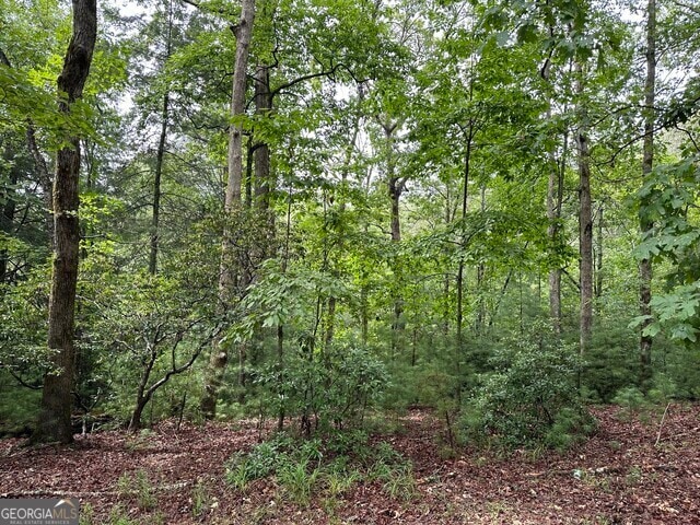 0 Seneca Dr unit 10497887, Ellijay, GA 30540 - photo 1