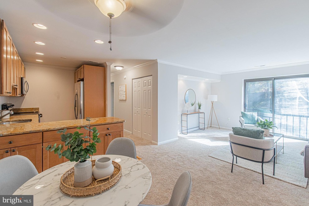 Sligo Station Condominium unit 220, Takoma Park, MD 20912 - photo 1