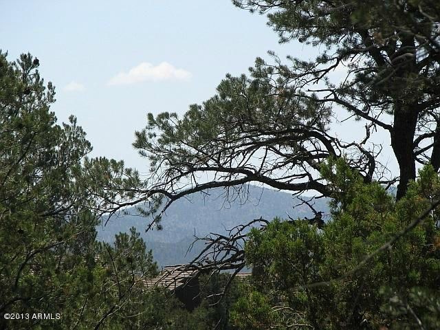 Mountain Views & Tall Pines