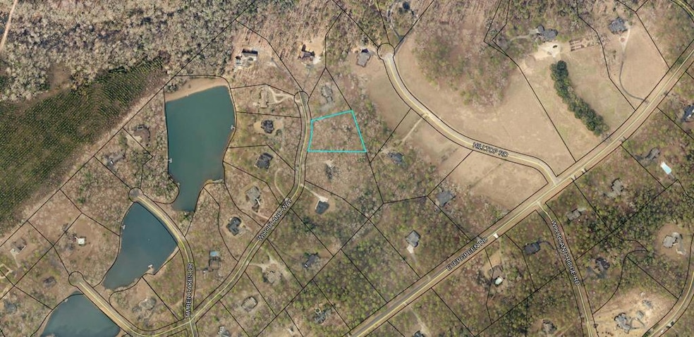 00 Woodland Way, Dublin, GA 31021 - photo 1