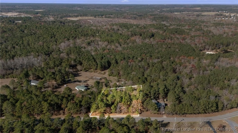 2746 Union Church Rd, Carthage, NC 28327 - photo 1