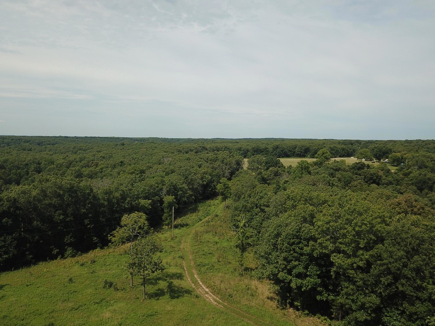 Tbd Basin, Crocker, MO 65452 - photo 1