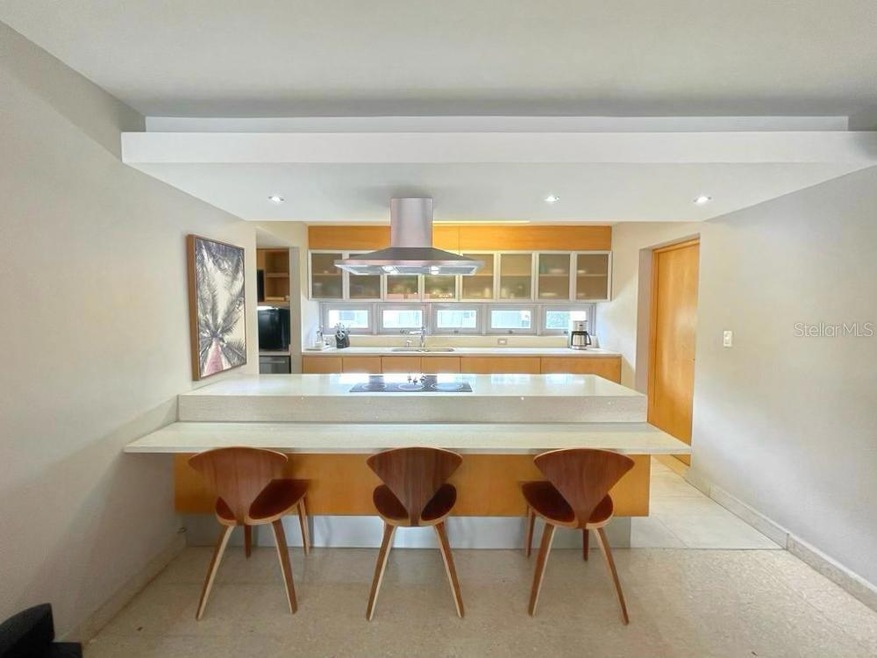 1351 Ave. Magdalena Condado Plaza unit 3B, San Juan, PR 00907 - photo 1