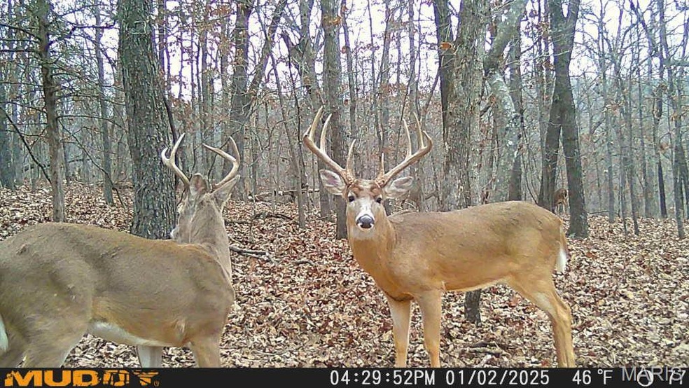 0 Bayberry Ln unit MIS25054464, Climax Springs, MO 65324 - photo 1