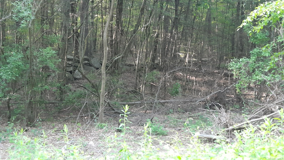 Lot 169A Kapitulik Rd, Thompson, CT 06255 - photo 1