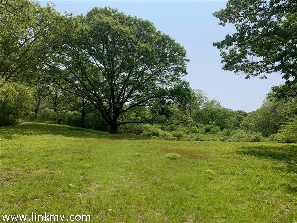 36 High Meadow, Chilmark, MA 02535 - photo 1