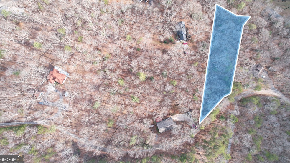 0 Skunk Hollow Rd unit 10460429, Cleveland, GA 30528 - photo 1