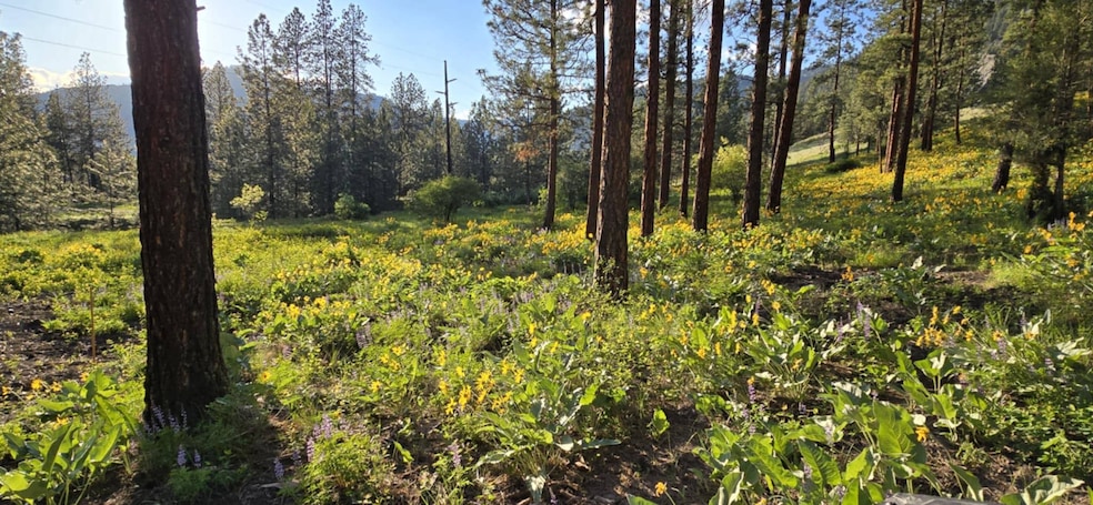 NHN Profile Rock, Alberton, MT 59820 - photo 1