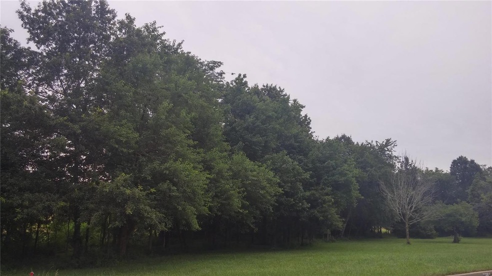 unlisted-address, Rolla, MO 65401 - photo 1