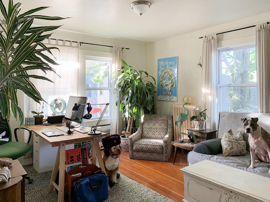 77 Oak St unit 2, Somerville, MA 02143 - photo 1