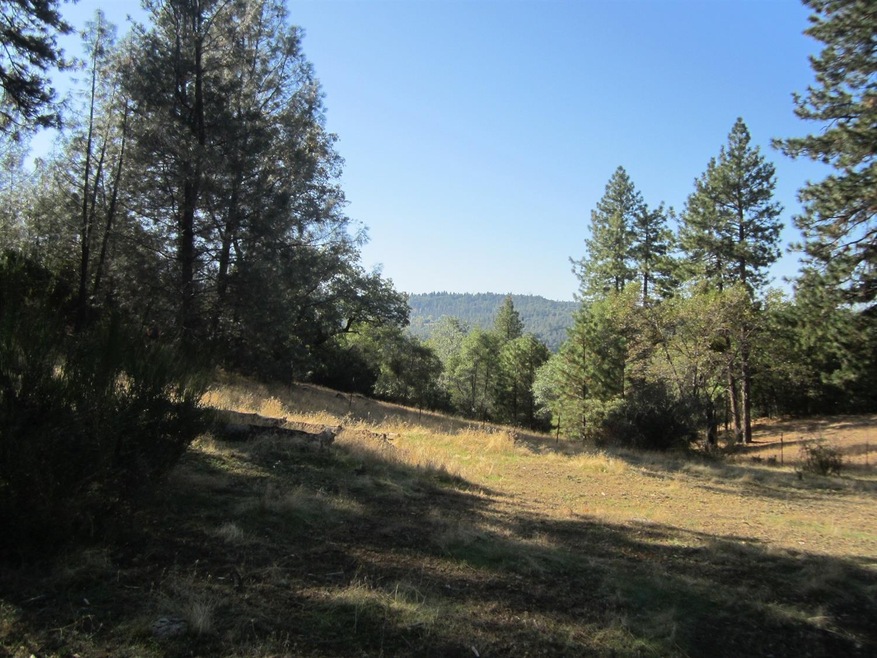 7200 Mosquito Rd, Placerville, CA 95667 - photo 1
