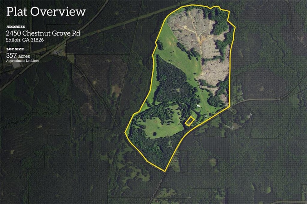 2450 Chestnut Grove Rd, Shiloh, GA 31826 - photo 1