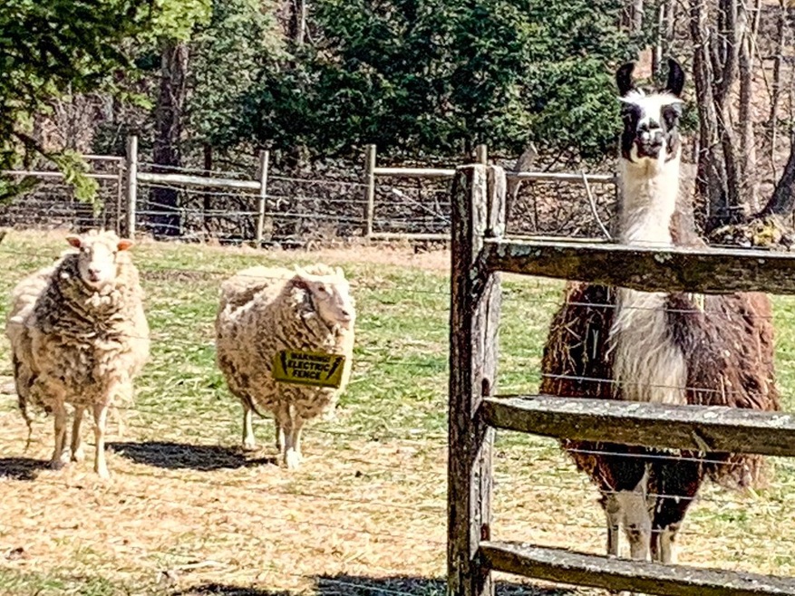 285 Main St, Boxford, MA 01921 - photo 1