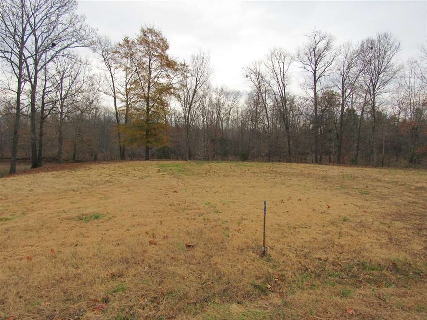 0 Whiteoak Rd E, Clifton, TN 38425 - photo 1