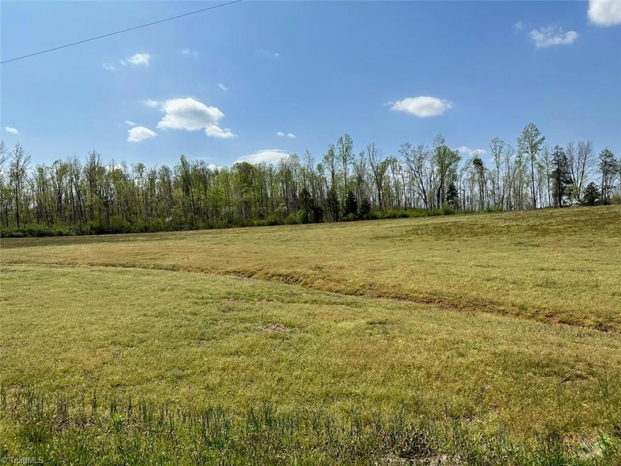 Tract 3 Gallimore Dairy Rd, Denton, NC 27239 - photo 1