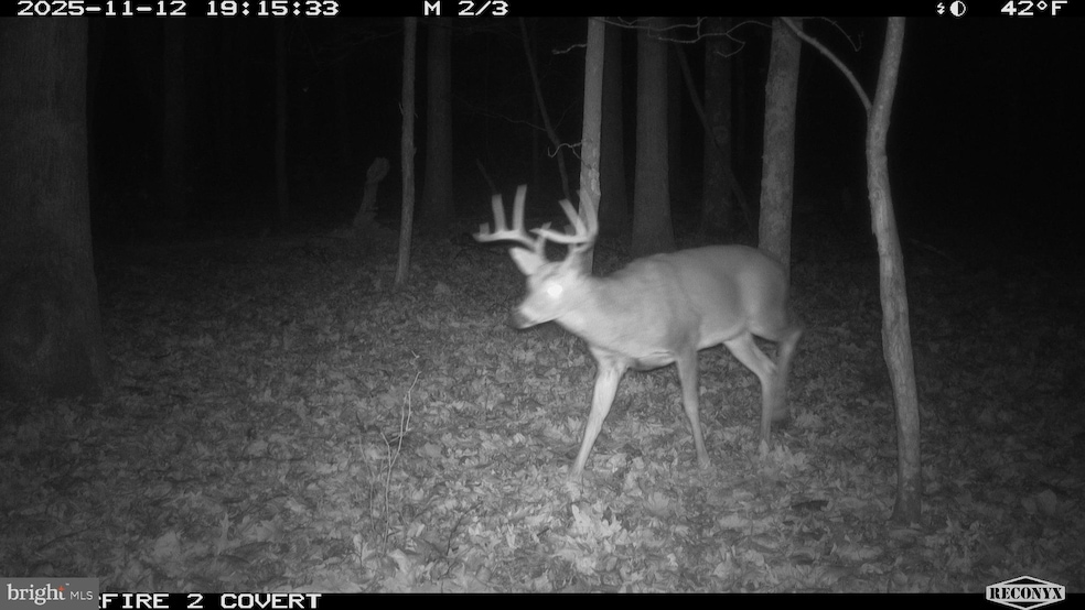 3536 J R Rannells Rd, Points, WV 26763 - photo 1