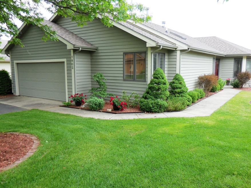 1803 spring meadow.jpg 2