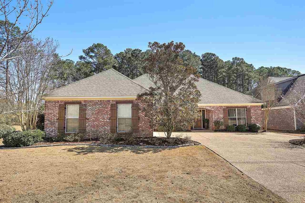 132 Vineyard Blvd, Brandon, MS 39047 - photo 1