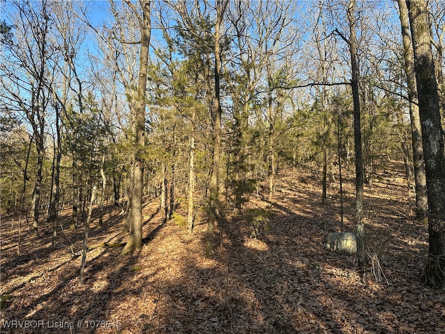 28734 Skyridge Ln, Heavener, OK 74937 - photo 1