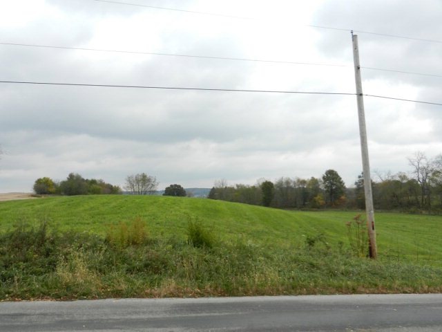 Main View
