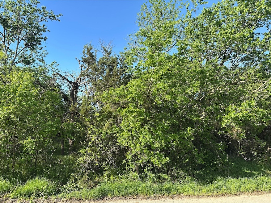 TBD Lot B Spring Rd, Ranger, TX 76470 - photo 1