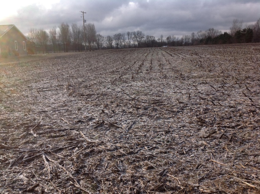 15.5 Ac Miller Rd