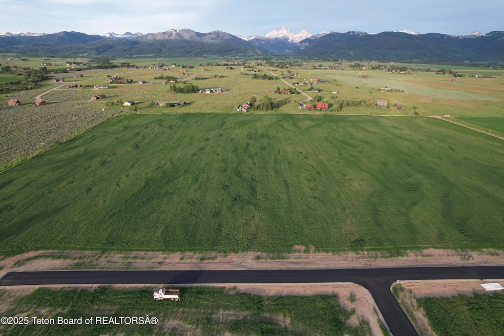 DJI_0856