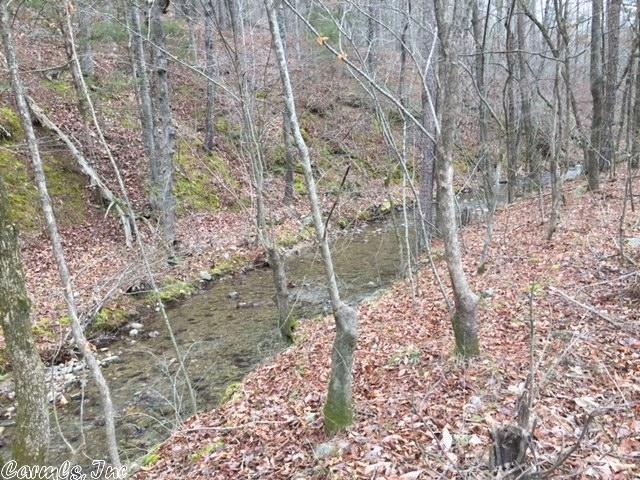 2335 Polk Road 61, Mena, AR 71953 - photo 1