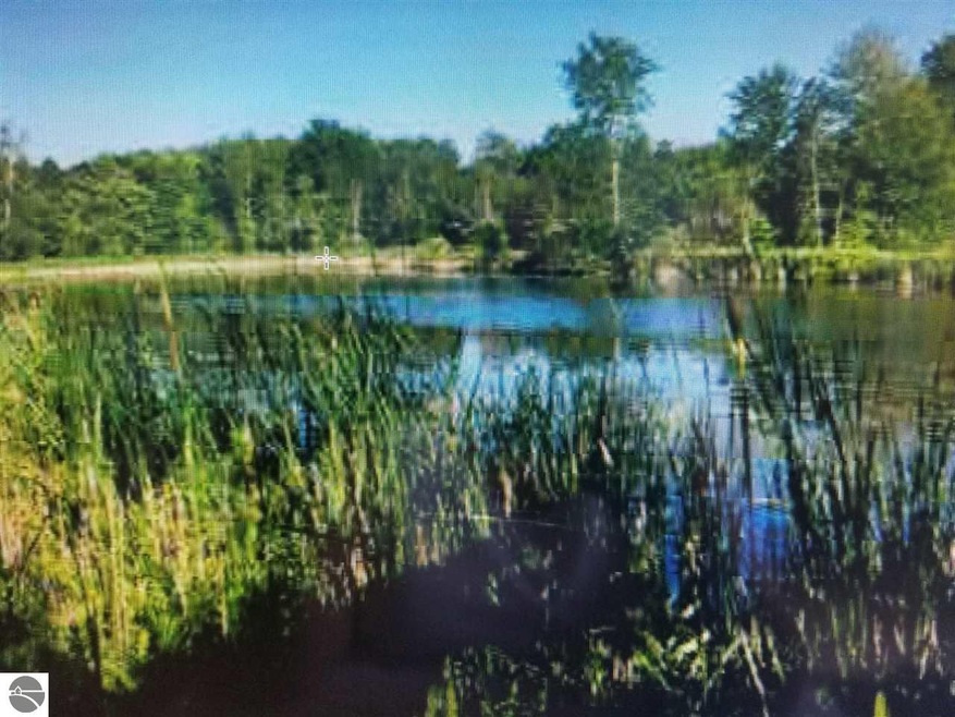 7314 Curtis Rd, Hale, MI 48739 - photo 1