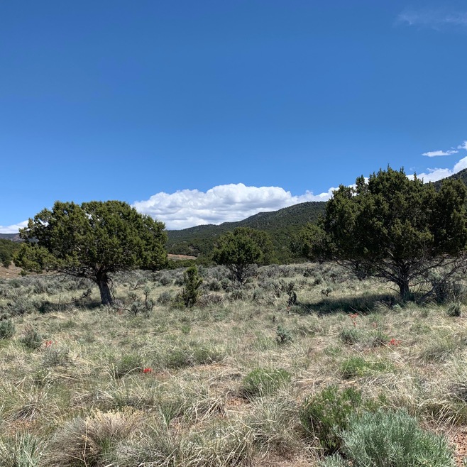 1555 Flint, Parowan, UT 84761 - photo 1