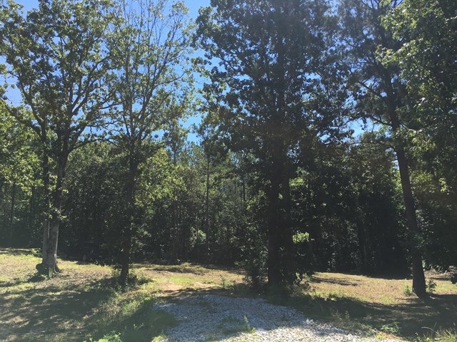TBD 1 County Road 103, Lafayette Springs, MS 38655 - photo 1