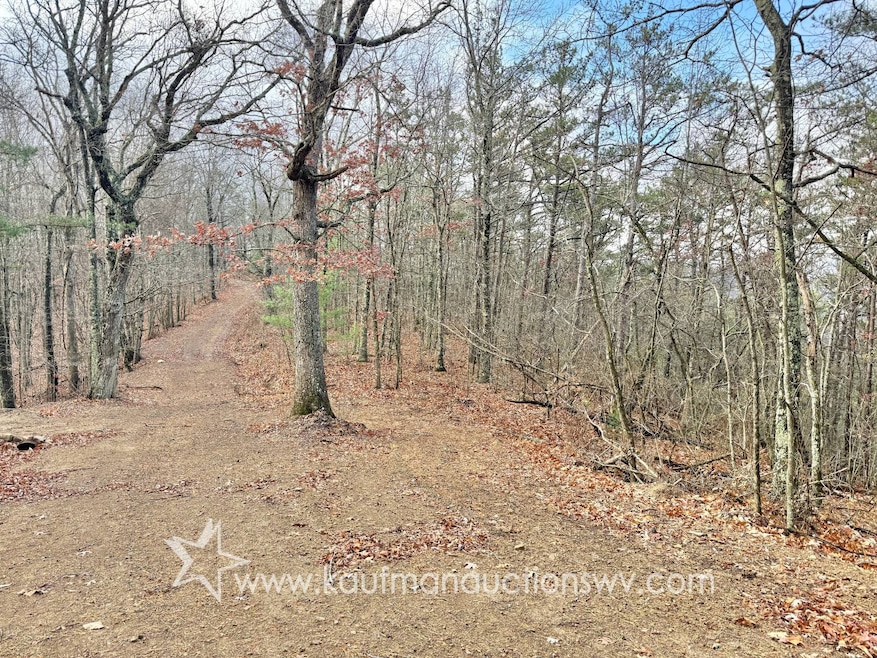 43 Highland Dr, White Sulphur Springs, WV 24986 - photo 1