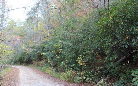 6.15 Clay Cir, Morganton, GA 30560 - photo 1