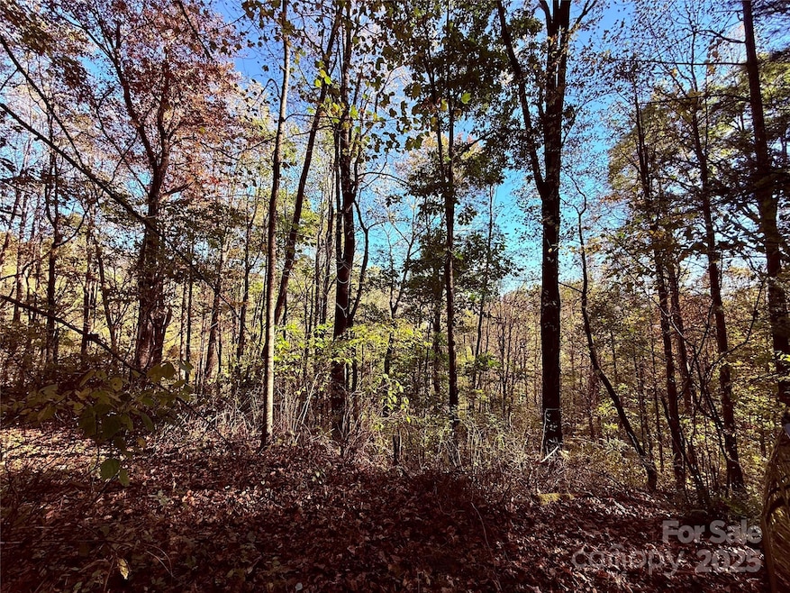 TBD Happy Ridge Ln, Sylva, NC 28779 - photo 1