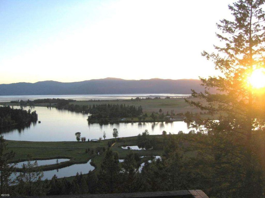 Flathead River View