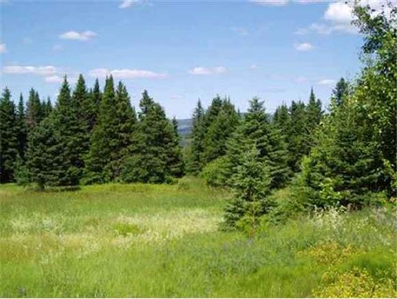 * Perry Rd, Columbia, NH 03576 - photo 1