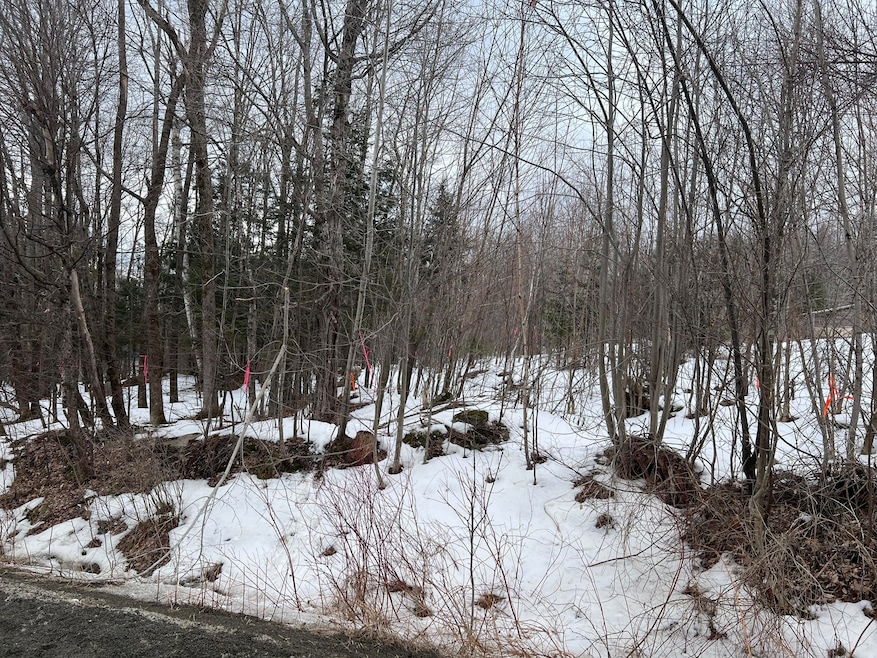 Bigelow Rd 2