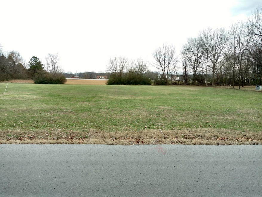 176 Walker St, Manchester, TN 37355 - photo 1