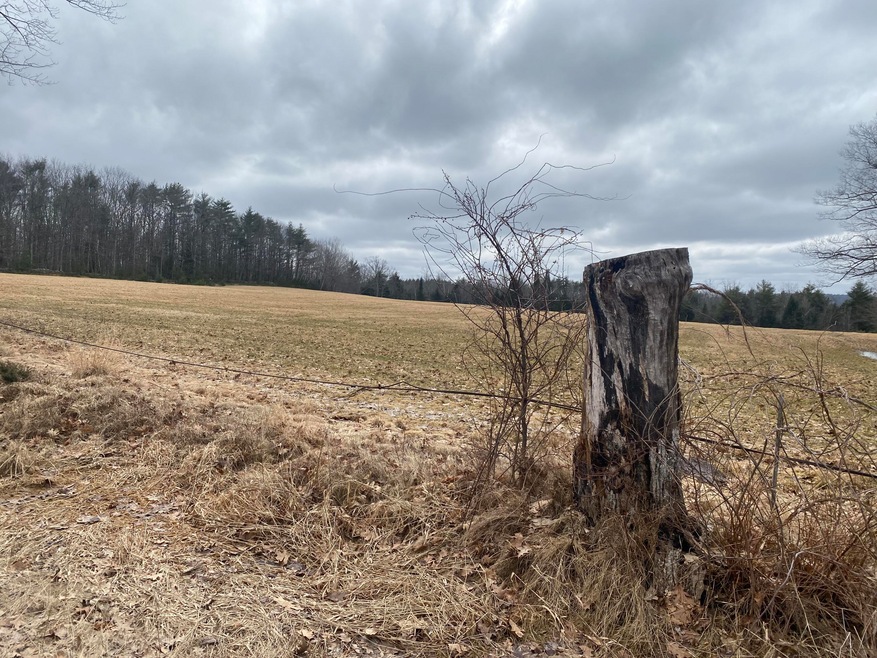 Field