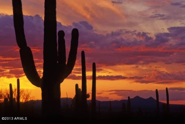 Arizona Sunset